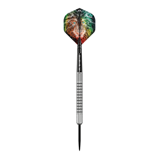 Mission Dominik Grüllich Steeldarts