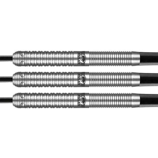 Bull's Adam Gawlas E2 Steeldarts