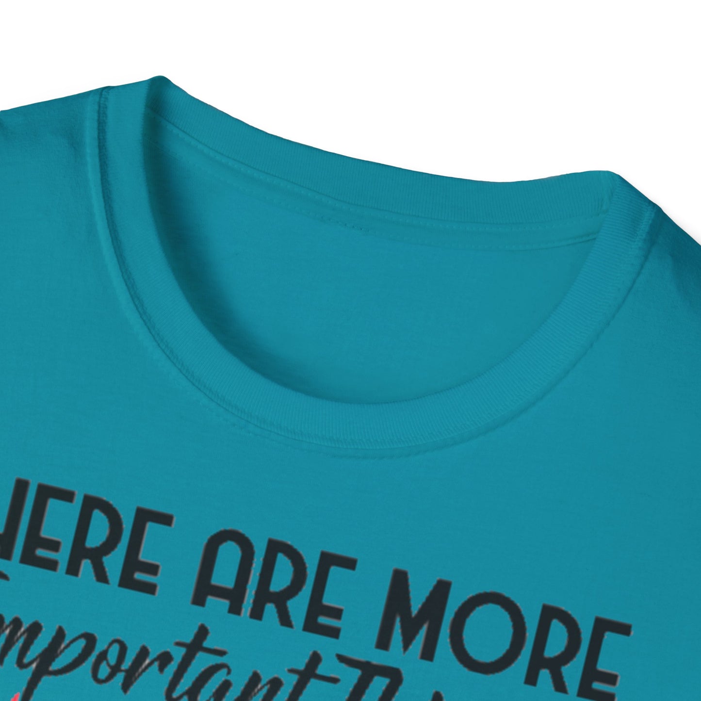 Darts T-Shirt — "There Are More Important Things Than Darts But What?"