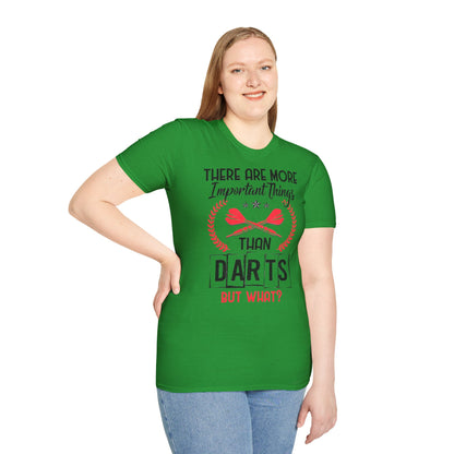 Darts T-Shirt — "There Are More Important Things Than Darts But What?"