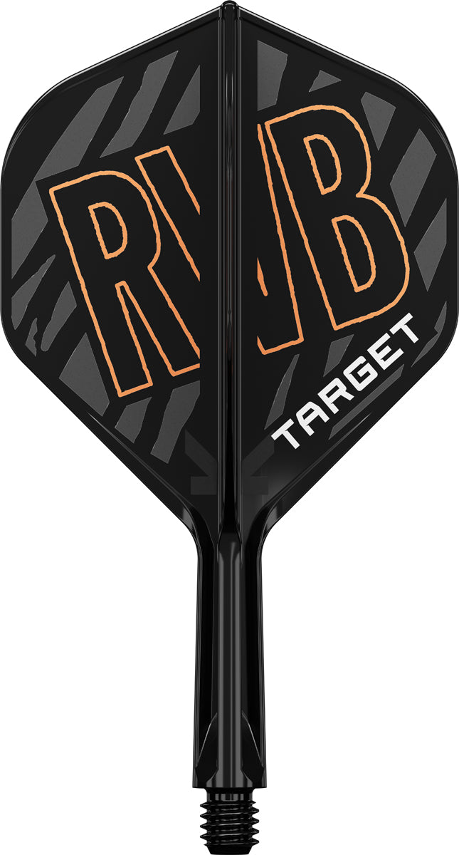 Target K-Flex Raymond van Barneveld NO2 - Dart Flights