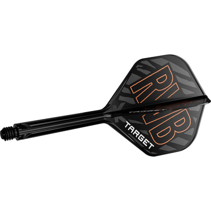 Target K-Flex Raymond van Barneveld NO2 - Dart Flights