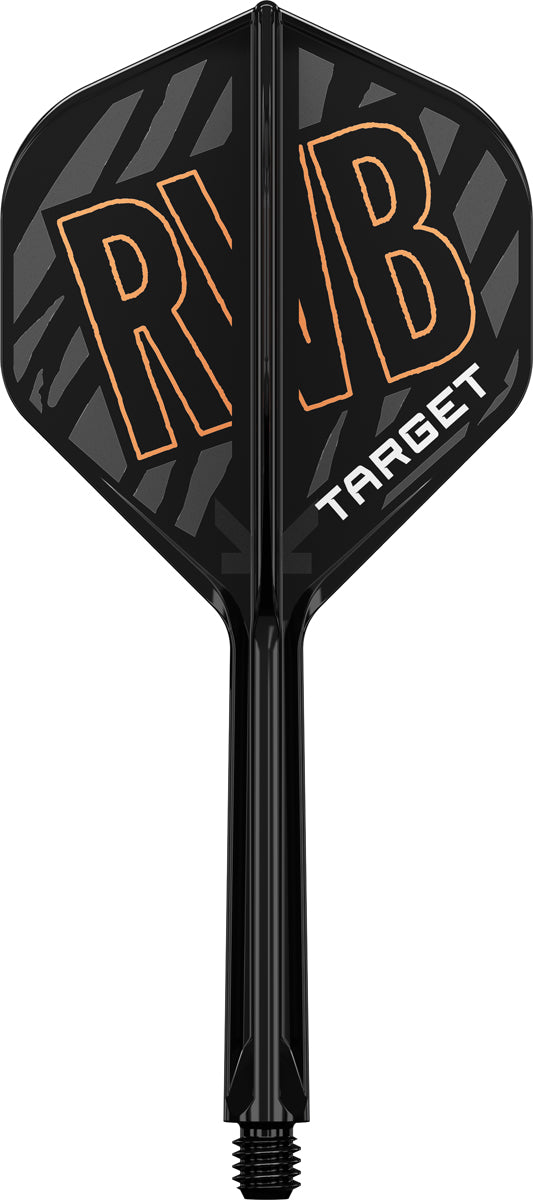 Target K-Flex Raymond van Barneveld NO2 - Dart Flights