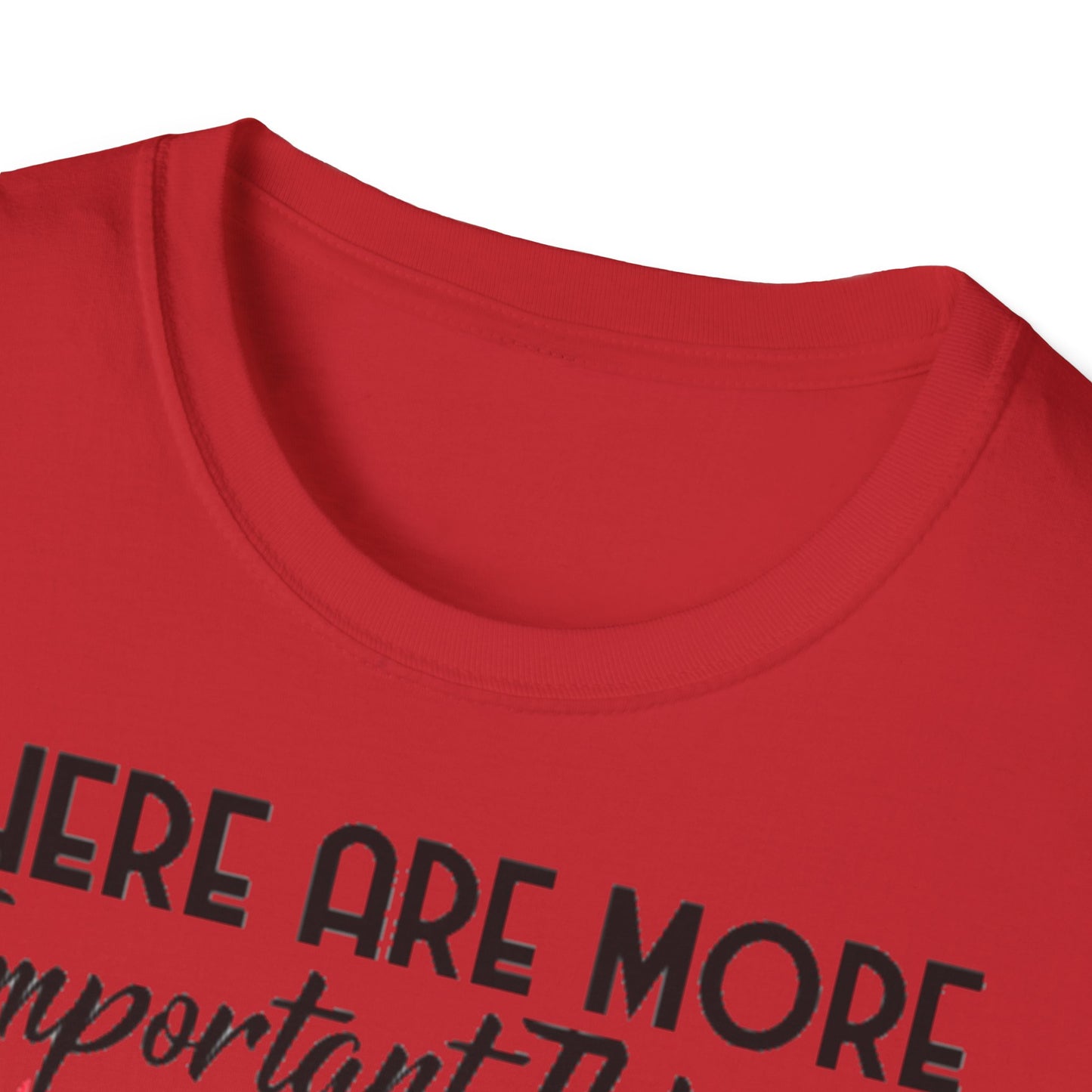 Darts T-Shirt — "There Are More Important Things Than Darts But What?"