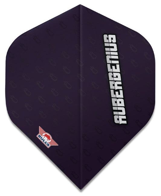 Bull's Player 100 Dirk van Duijvenbode 80 No.2