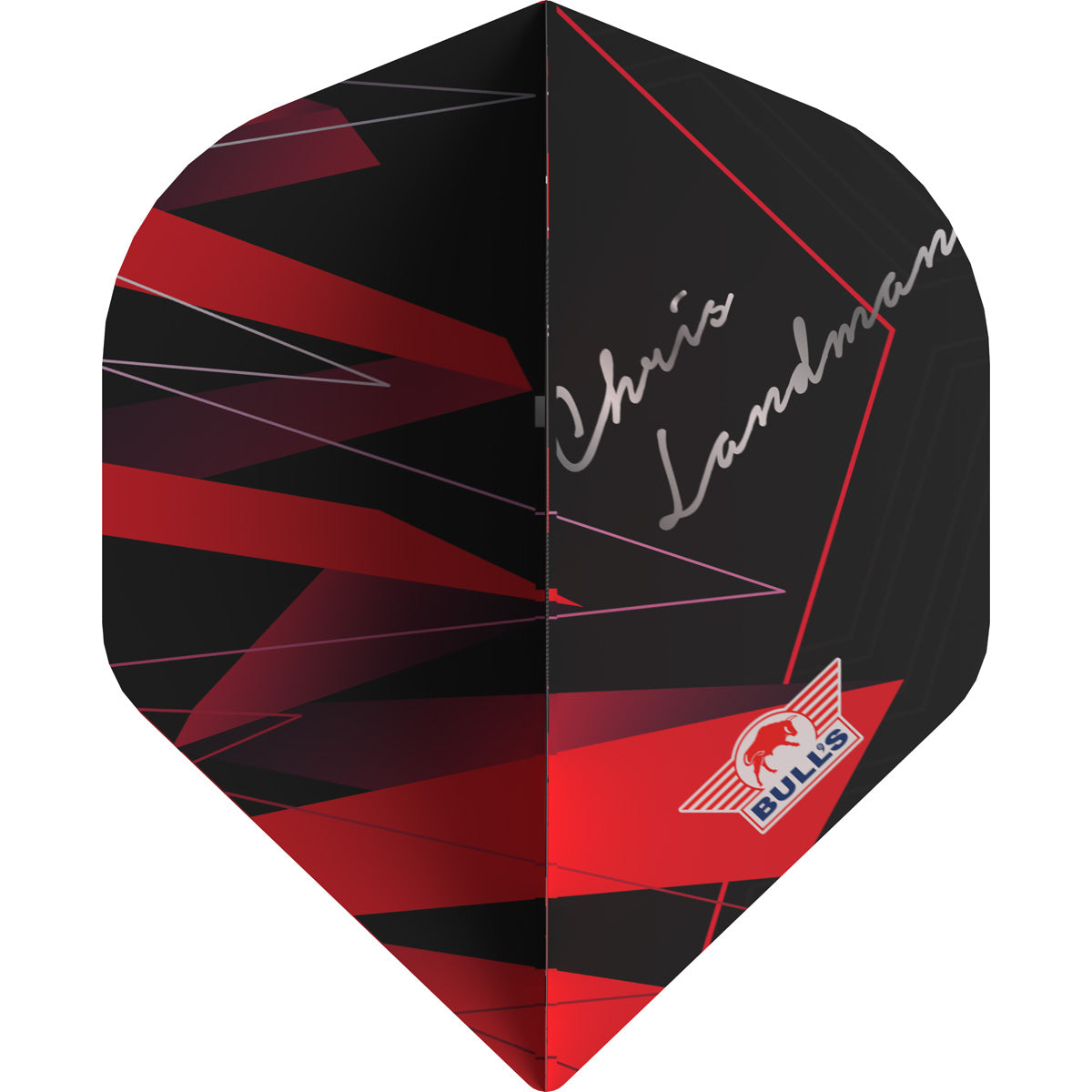 Bull's Chris Landman E2 - Steeldarts