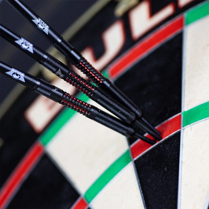 Bull's Benjamin Pratnemer 90% Steeldarts