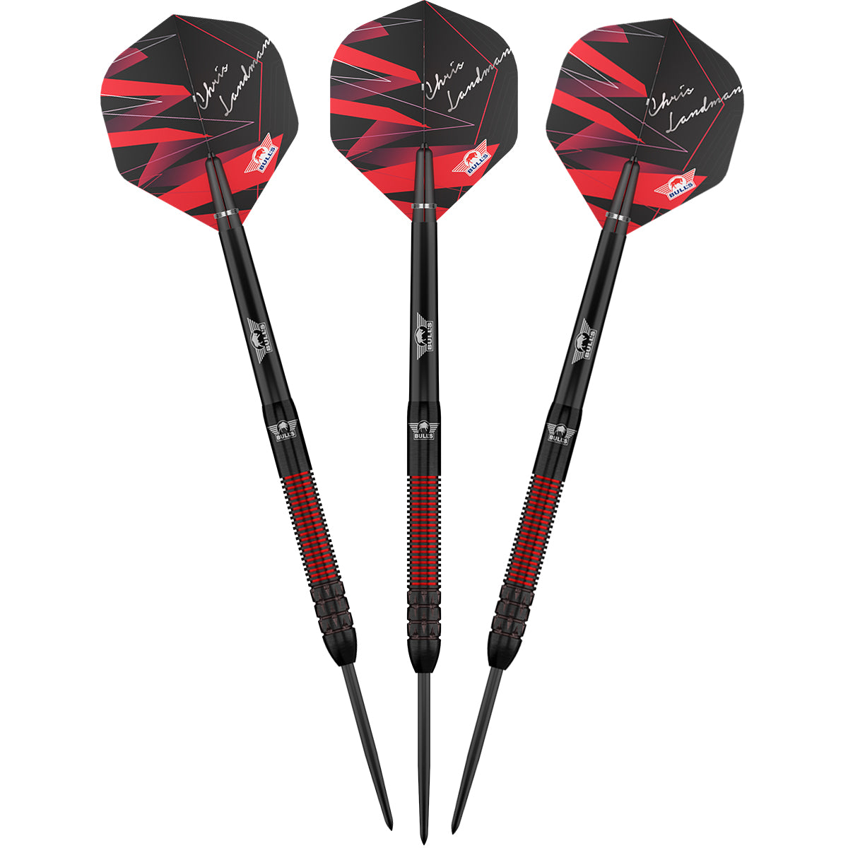 Bull's Chris Landman E2 - Steeldarts