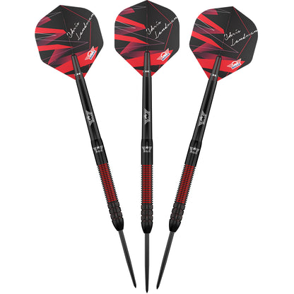 Bull's Chris Landman E2 - Steeldarts