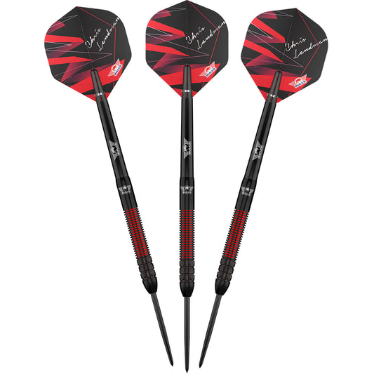 Bull's Chris Landman E2 - Steeldarts