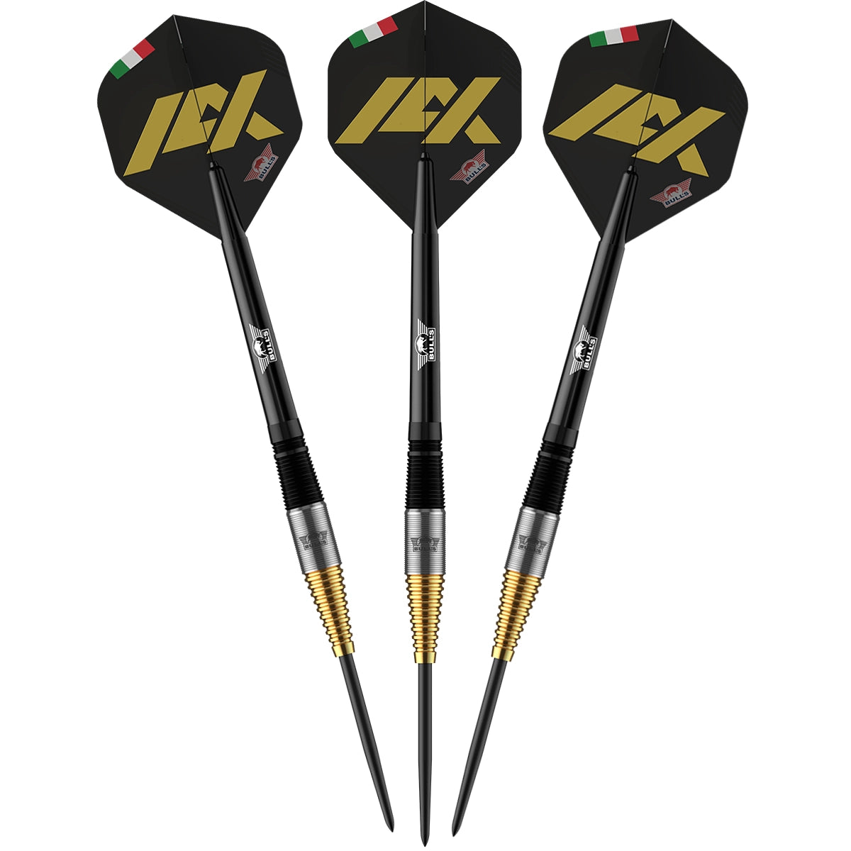 Bull's Massimo Dalla-Rosa Steeldarts