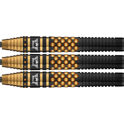 Bull's Richard Veenstra E2 - Steeldarts