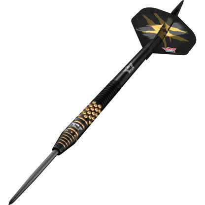 Bull's Richard Veenstra E2 - Steeldarts