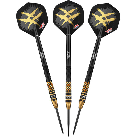 Bull's Richard Veenstra E2 - Steeldarts