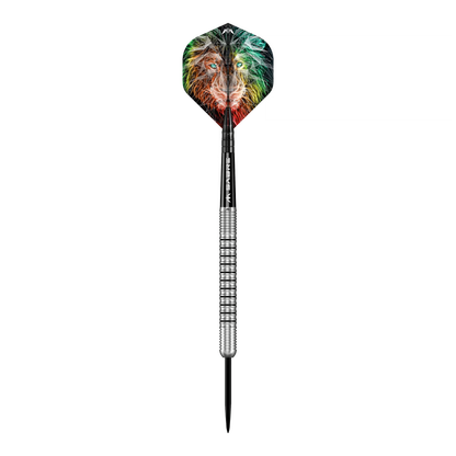 Mission Dominik Grüllich Steeldarts