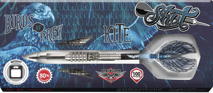 Shot Birds of Prey Kite