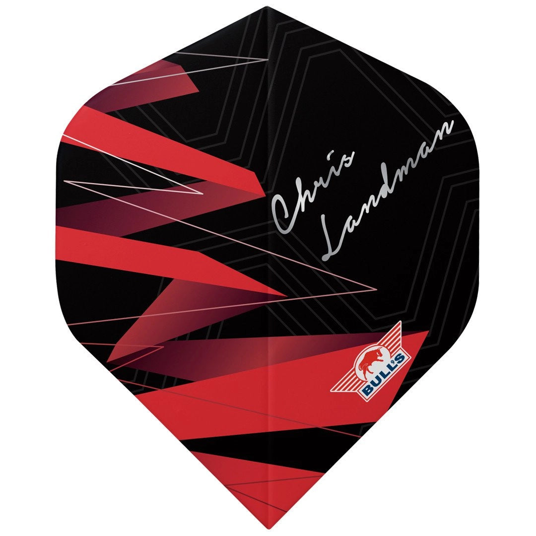 Bull's Chris Landman 90% 21 g Steeldarts