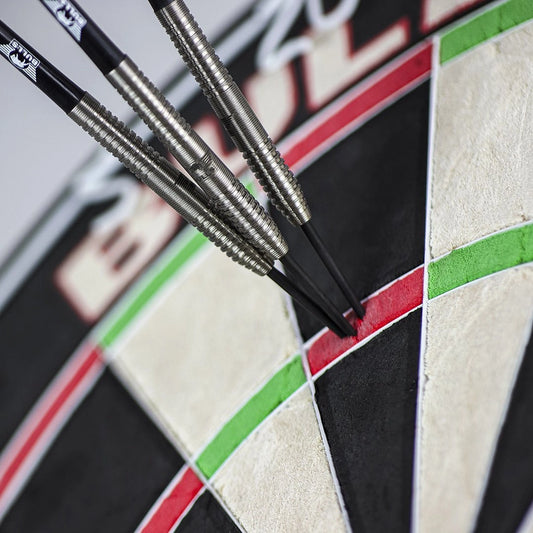 Bull's Dirk van Duijvenbode 90% Steeldarts
