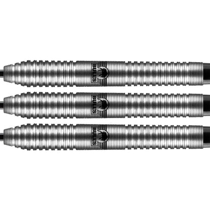 Bull's Dirk van Duijvenbode 90% Steeldarts