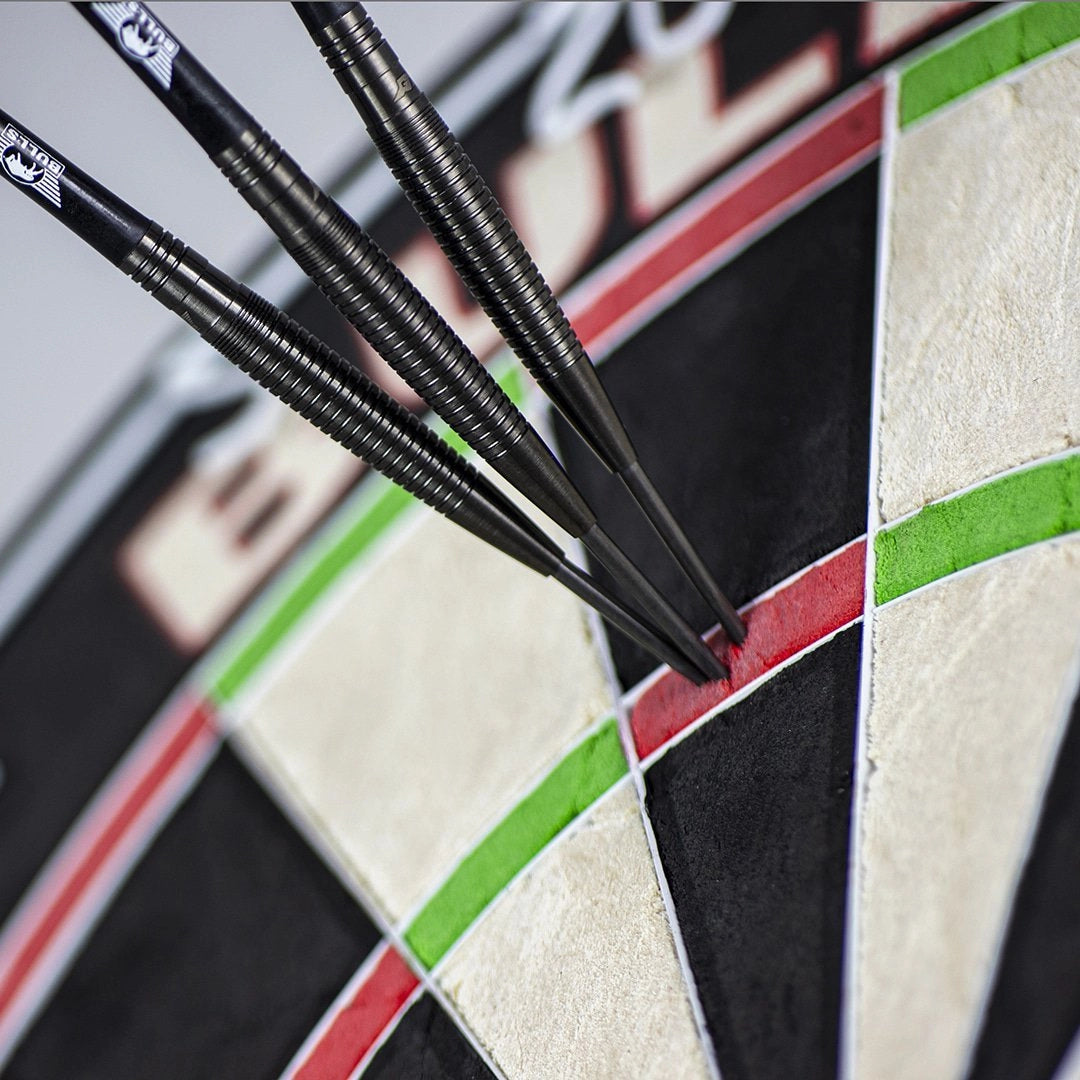 Bull's Geert Nentjes Steeldarts