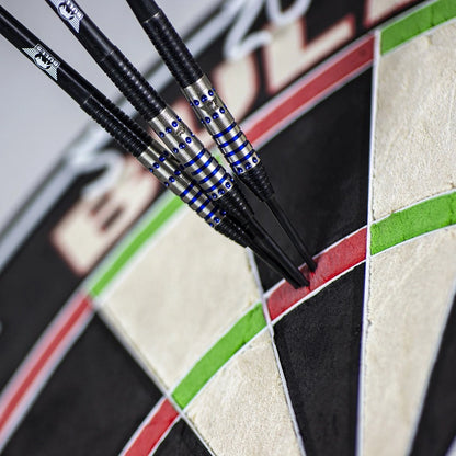 Bull's Richard Veenstra Steeldarts