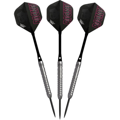 Bull's Ricky Evans E2 Steeldarts