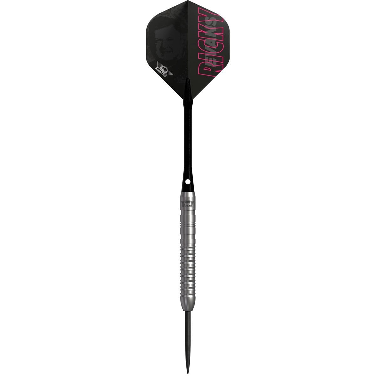 Bull's Ricky Evans E2 Steeldarts