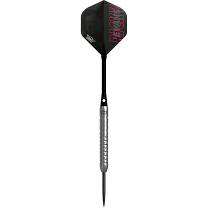 Bull's Ricky Evans E2 Steeldarts